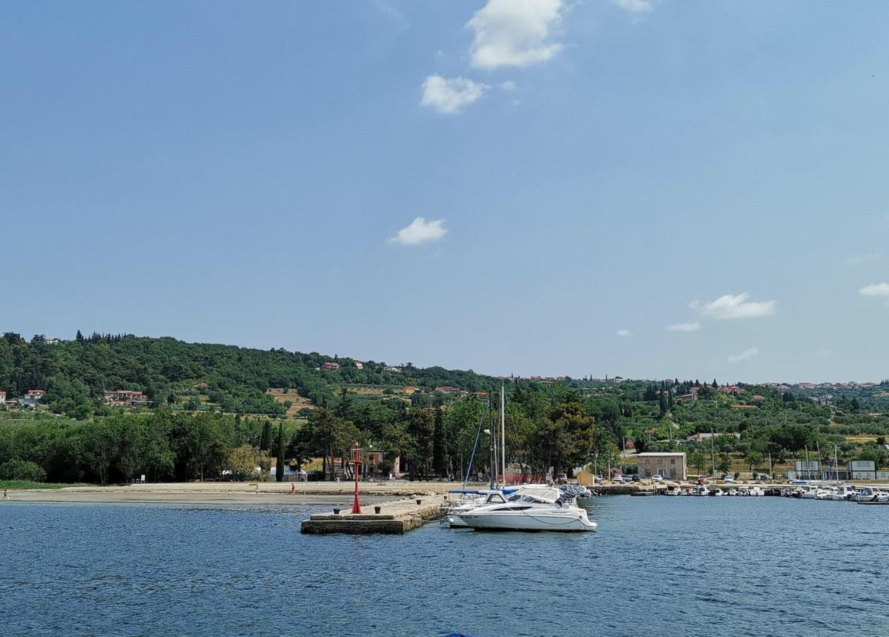 Apartma Vatovec Ankaran Dış mekan fotoğraf
